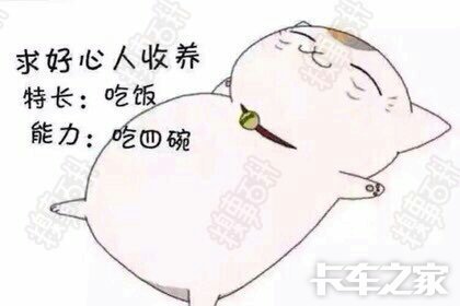 已经耍够了.这家伙呆的发霉了都.
