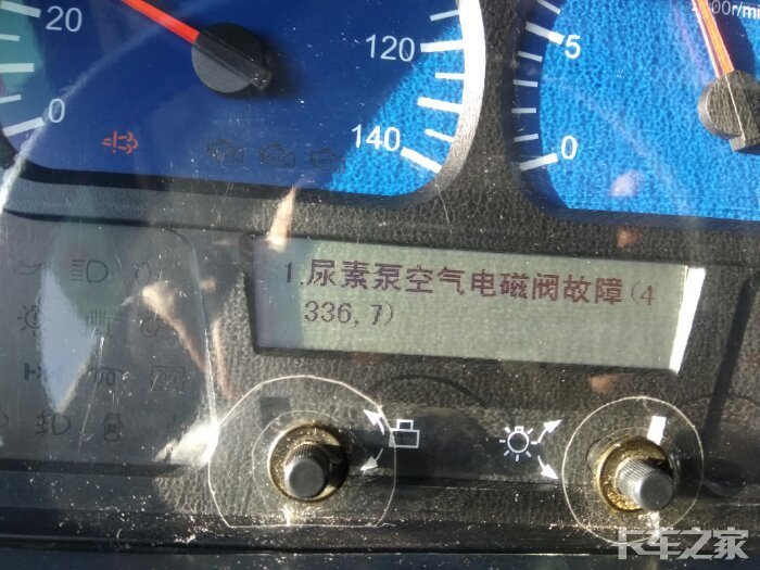天太冷天锦也感冒了