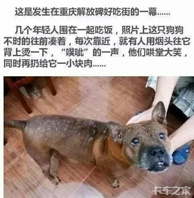 没良心的人