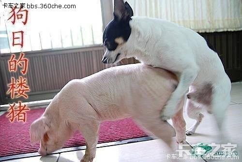 喜欢越南美女的快来围观.花街实拍!