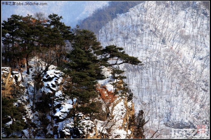 山西招半挂司机(拉煤)