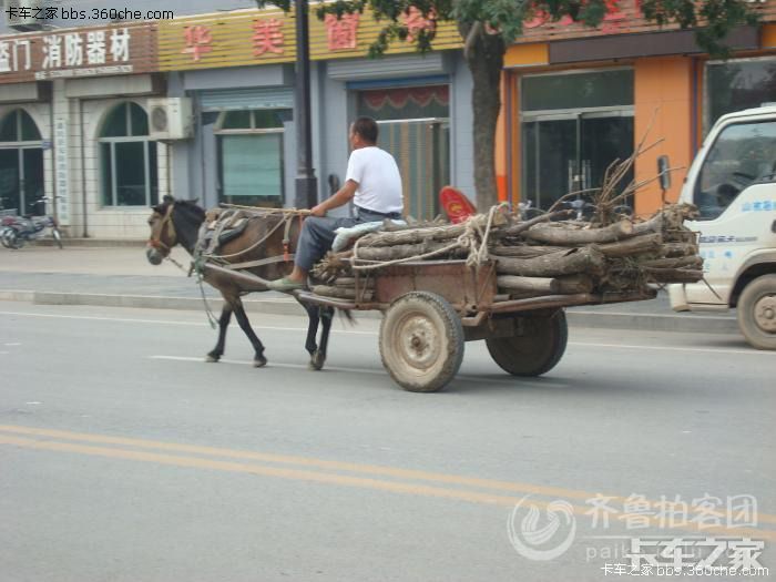 以前都是听说的,今天我自己亲眼看到了,有图有真相