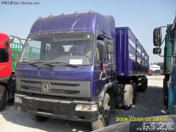 东风紫罗兰失望