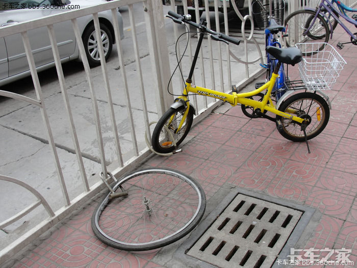 有图有趣有真相.