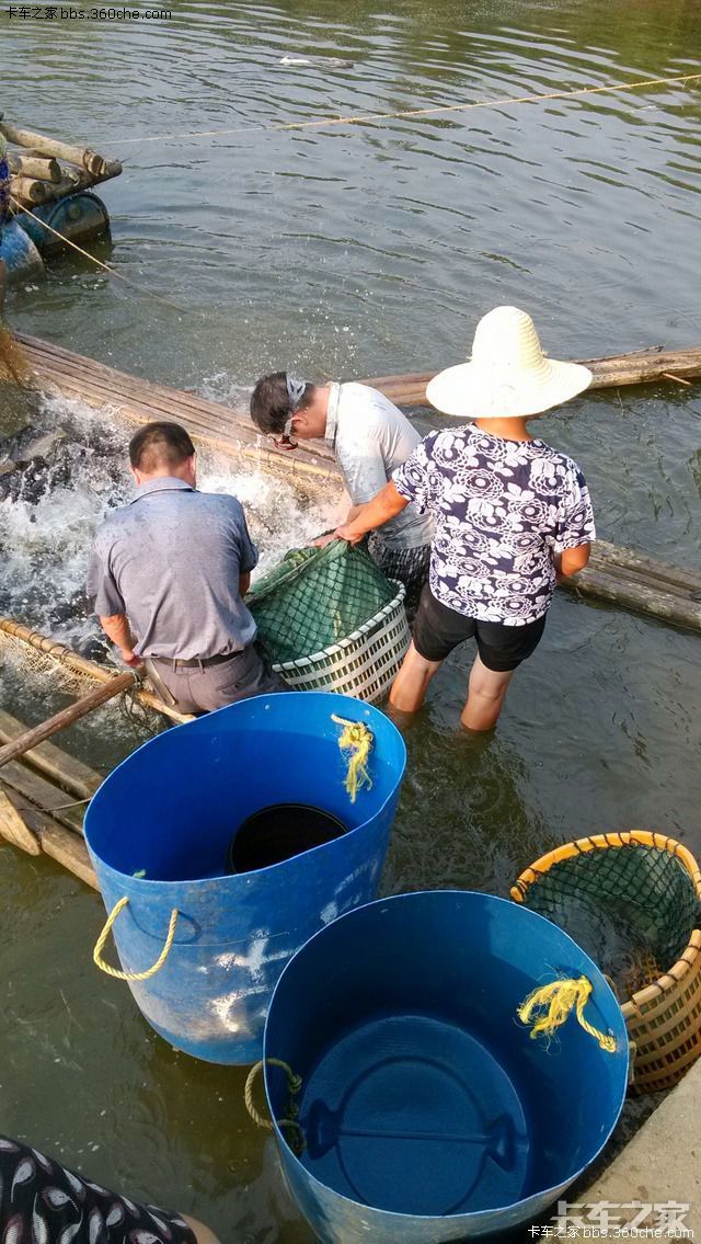 我的一天,拉鱼更新记