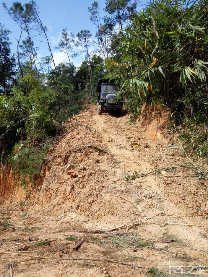 广西特产爬山王入山拉木之神器