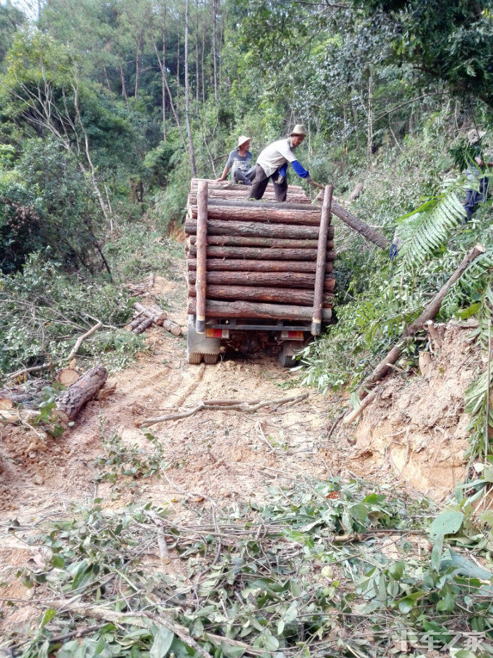 广西特产爬山王入山拉木之神器