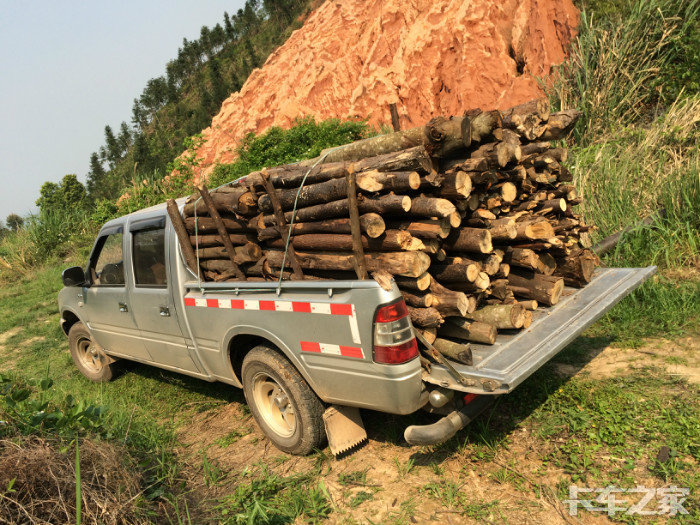清明回老家帮老爷子山里拉柴,靠山吃山,山里空气就是好 _ 卡车之家