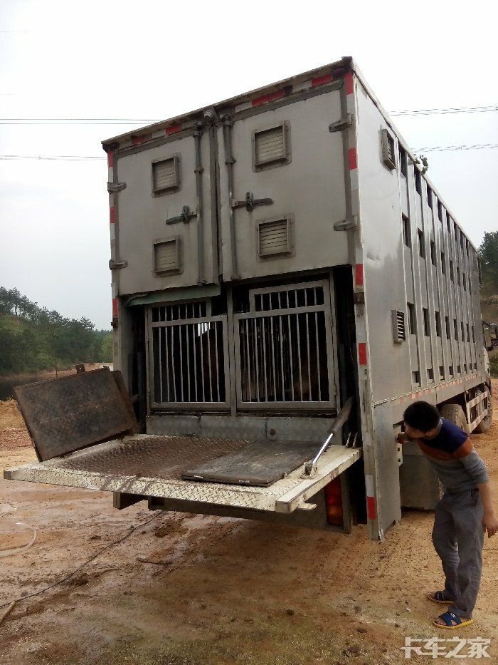求购专用拉猪车