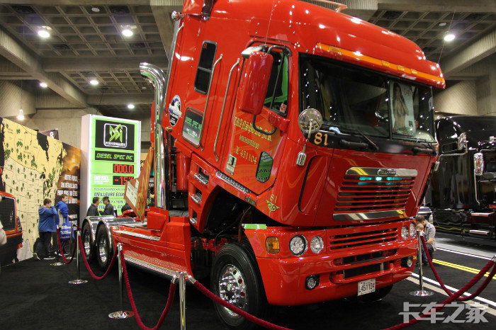 福莱纳 平头 加拿大这边不多见