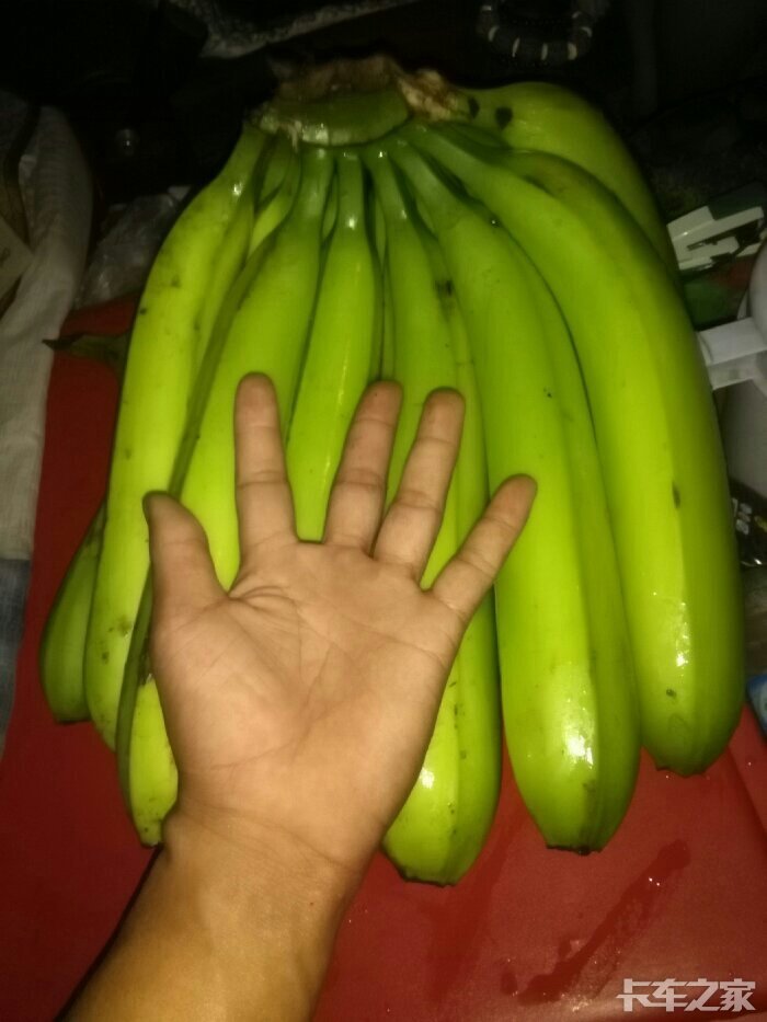 缅甸香蕉谁最喜欢