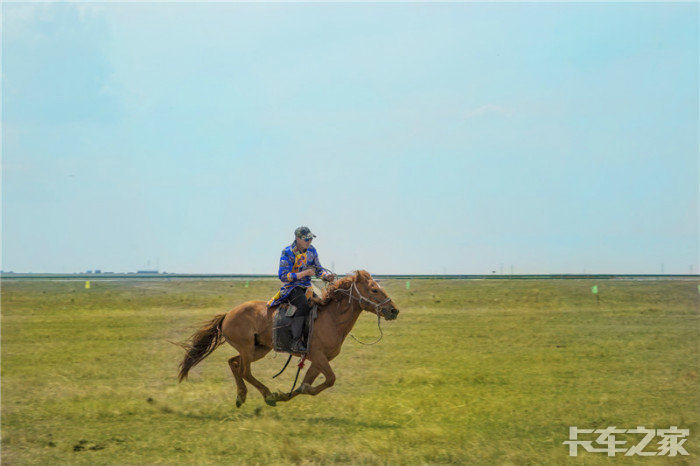 和虎兄虎弟们一起去草原喂马劈柴