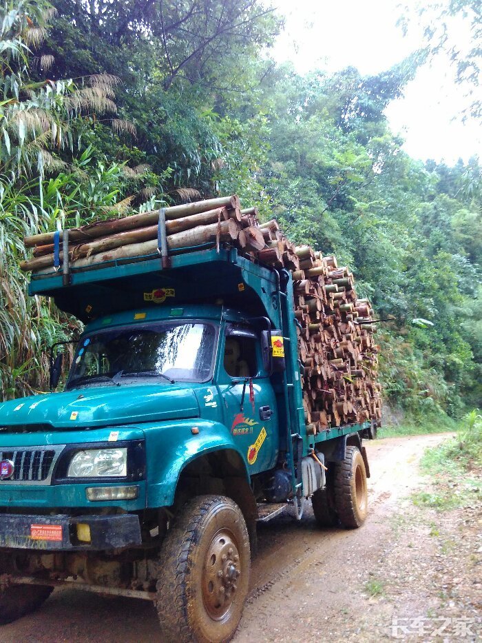 福达福龙Ⅱ拉木记