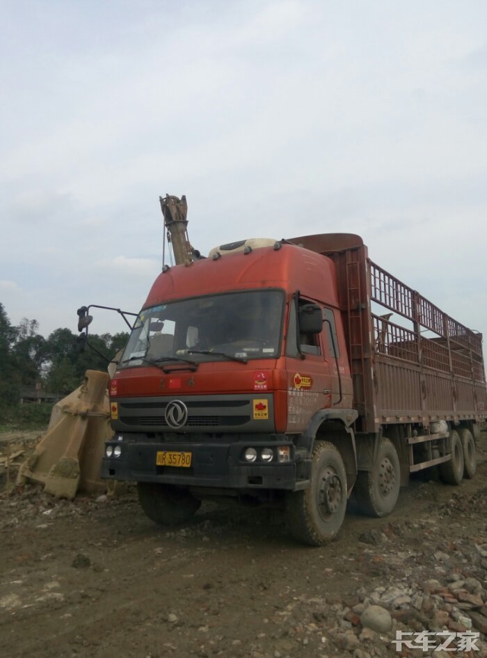 紫罗兰! _ 卡车之家论坛