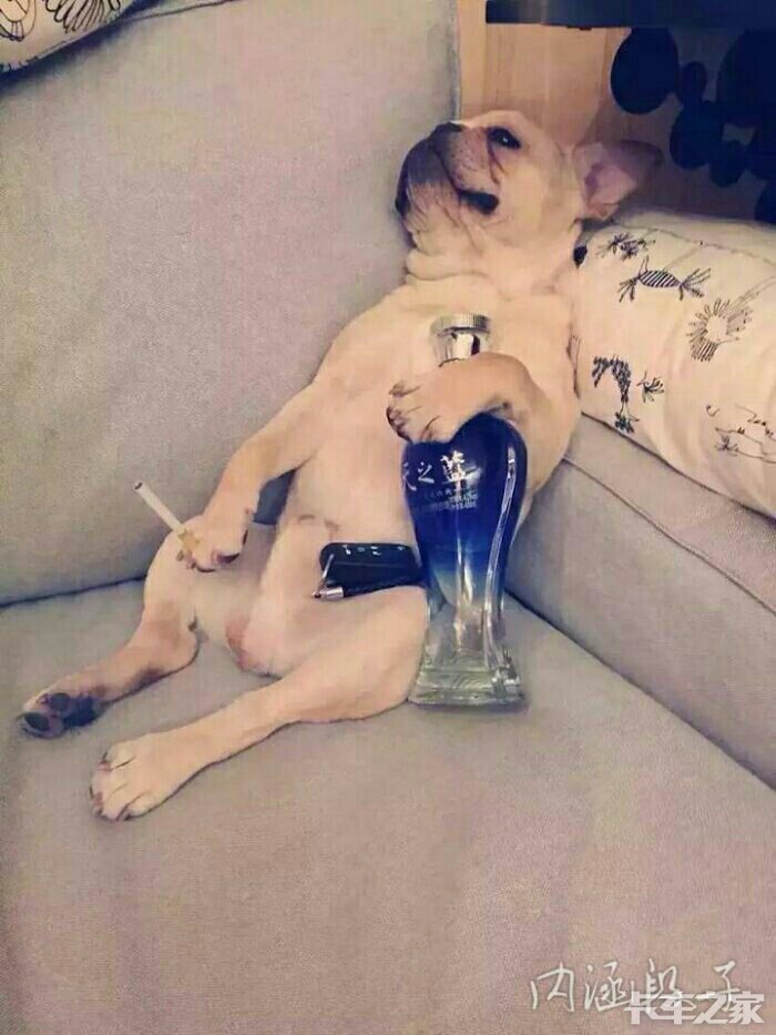 楼主呀!喝酒不开车哦