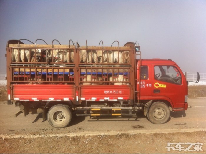 拉羊这俩钱挣得是真不易啊即兴赋诗一首