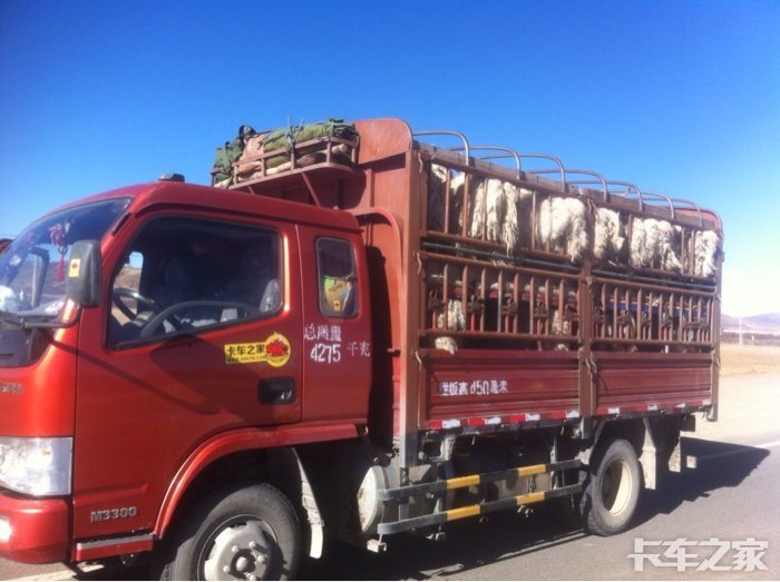 拉羊这俩钱挣得是真不易啊,即兴赋诗一首 _ 卡车之家论坛