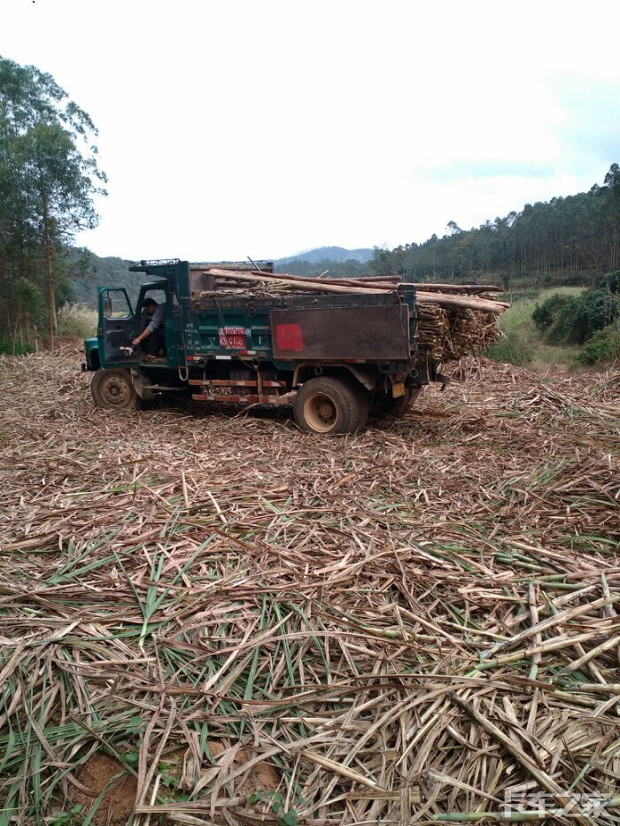 大钦机,装甘蔗记得.