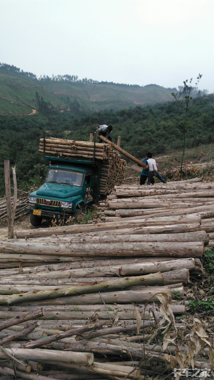 钦机进山拉木干活