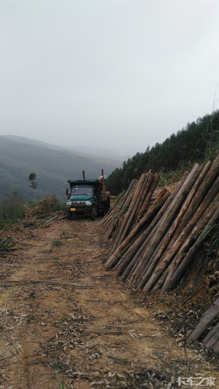 钦机进山拉木干活
