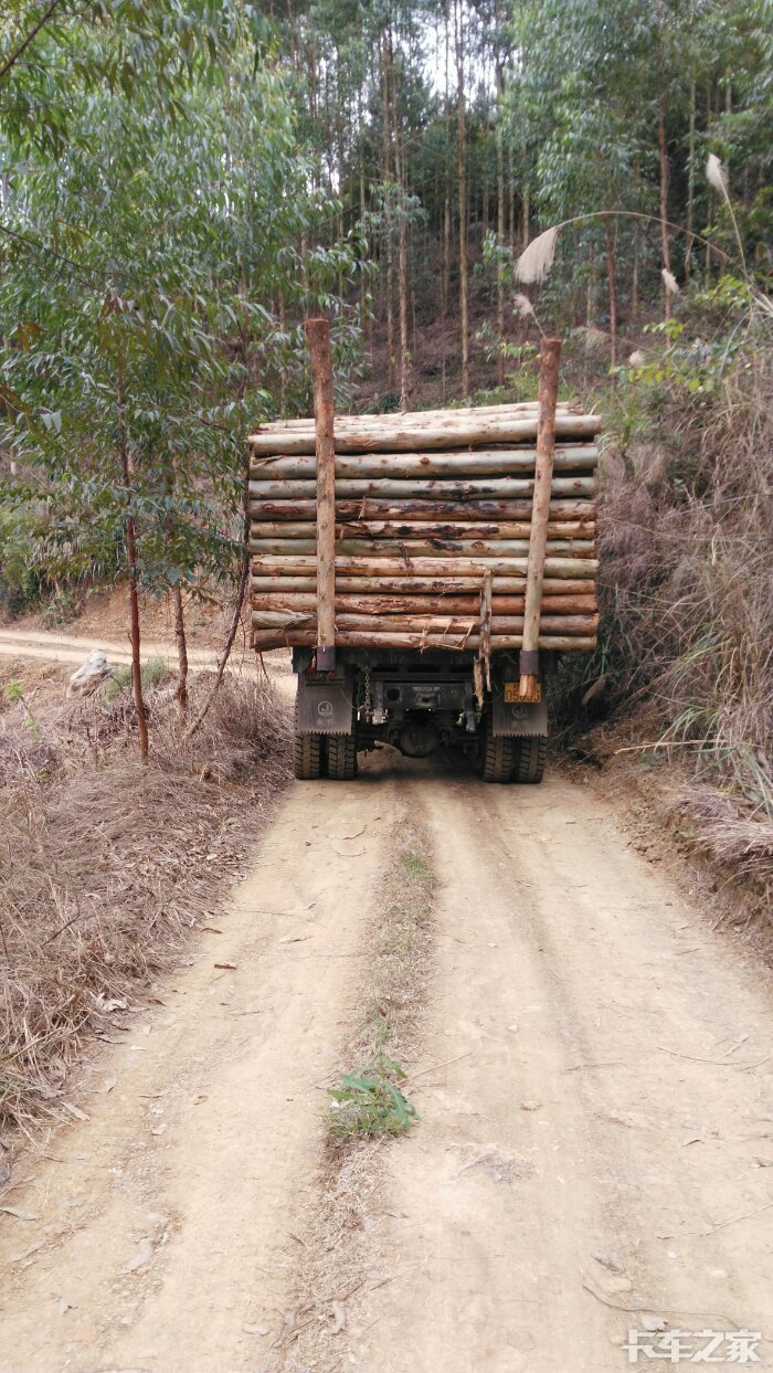 钦机进山拉木干活