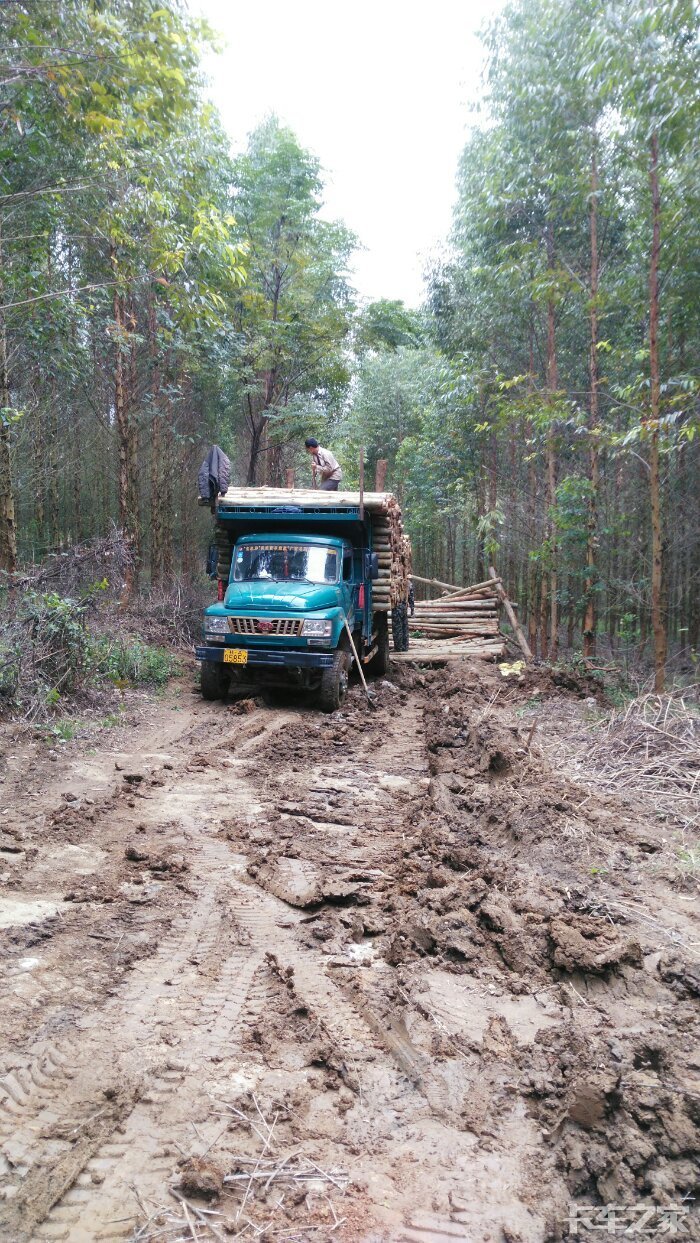钦机进山拉木干活