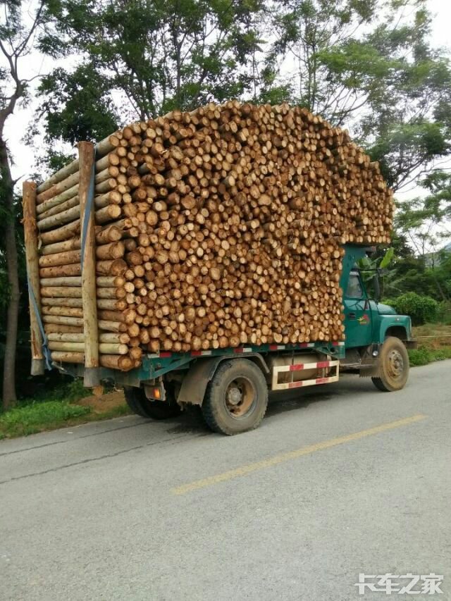 钦机进山拉木干活