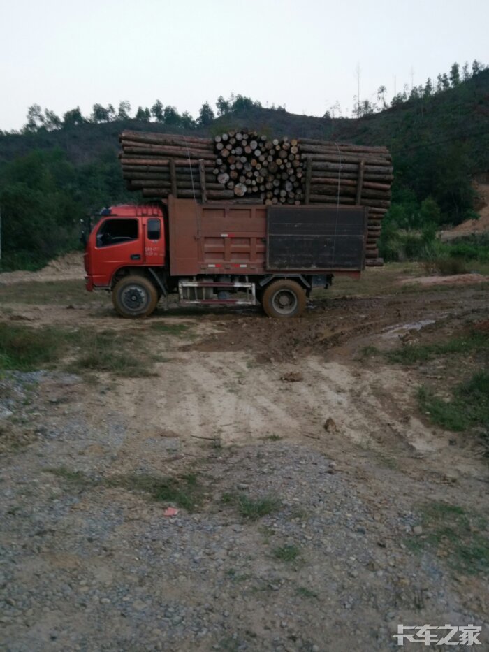 小型自卸车进山拉木头