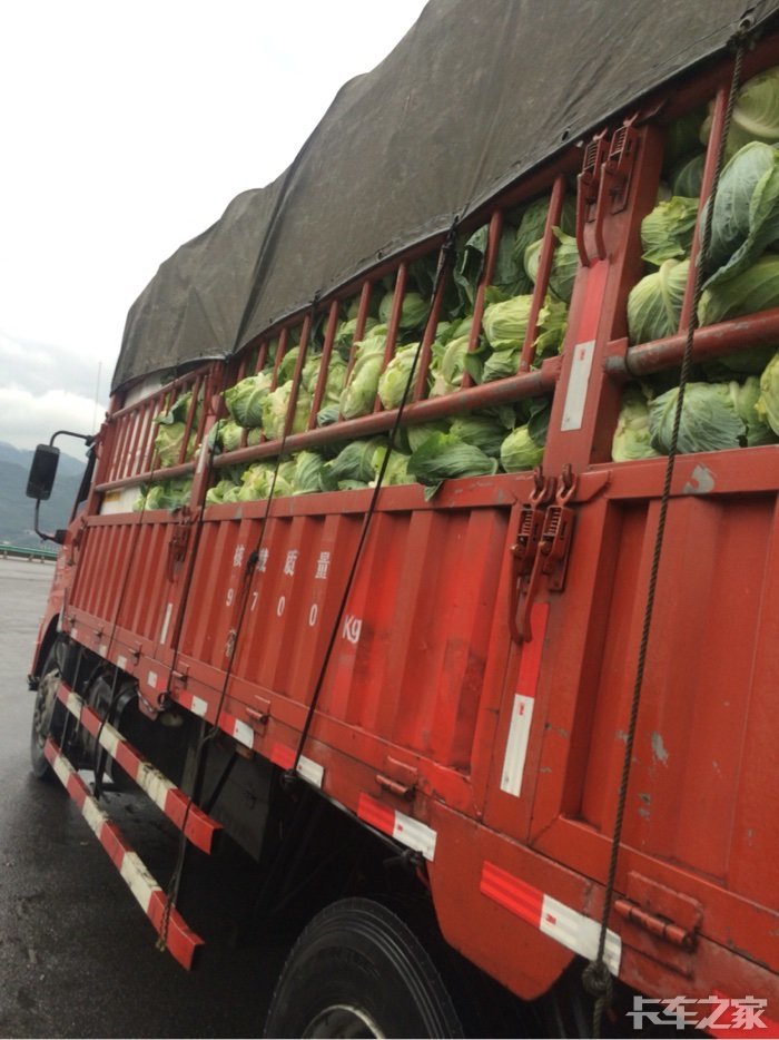 直播拉菜,成都彭州到贵州铜仁