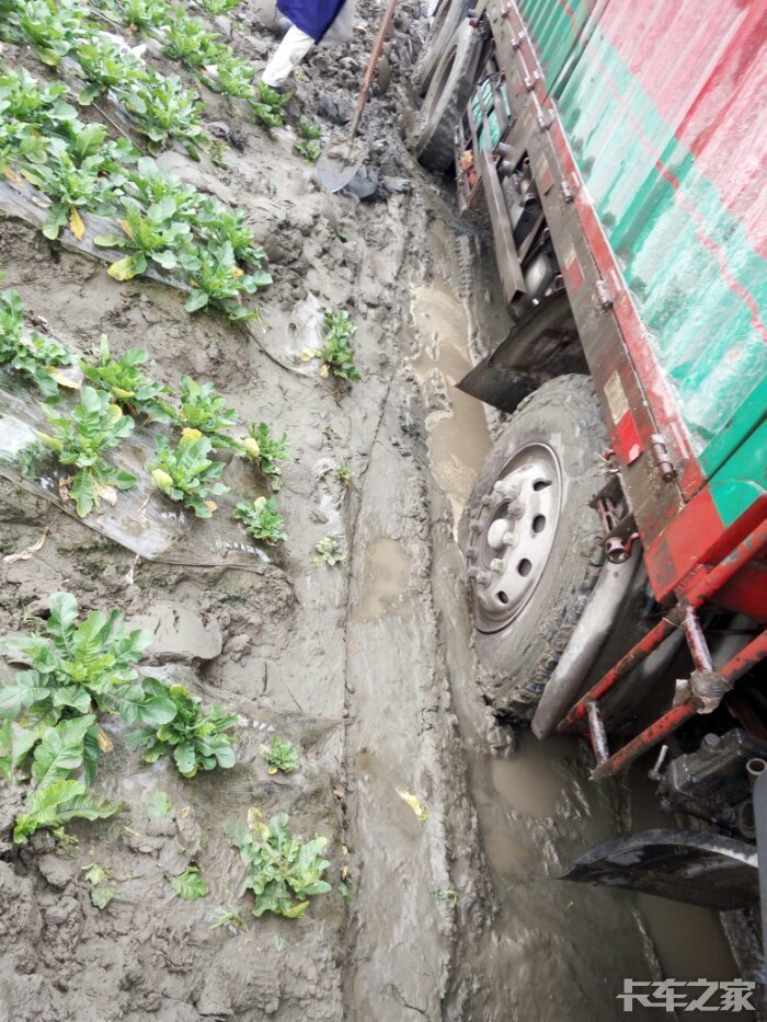 老板说这怪车马力太小