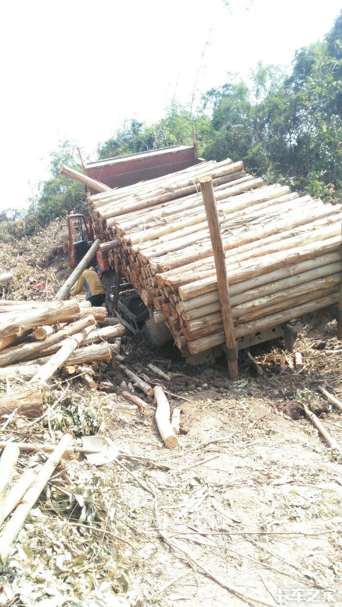 钦机进山拉木干活