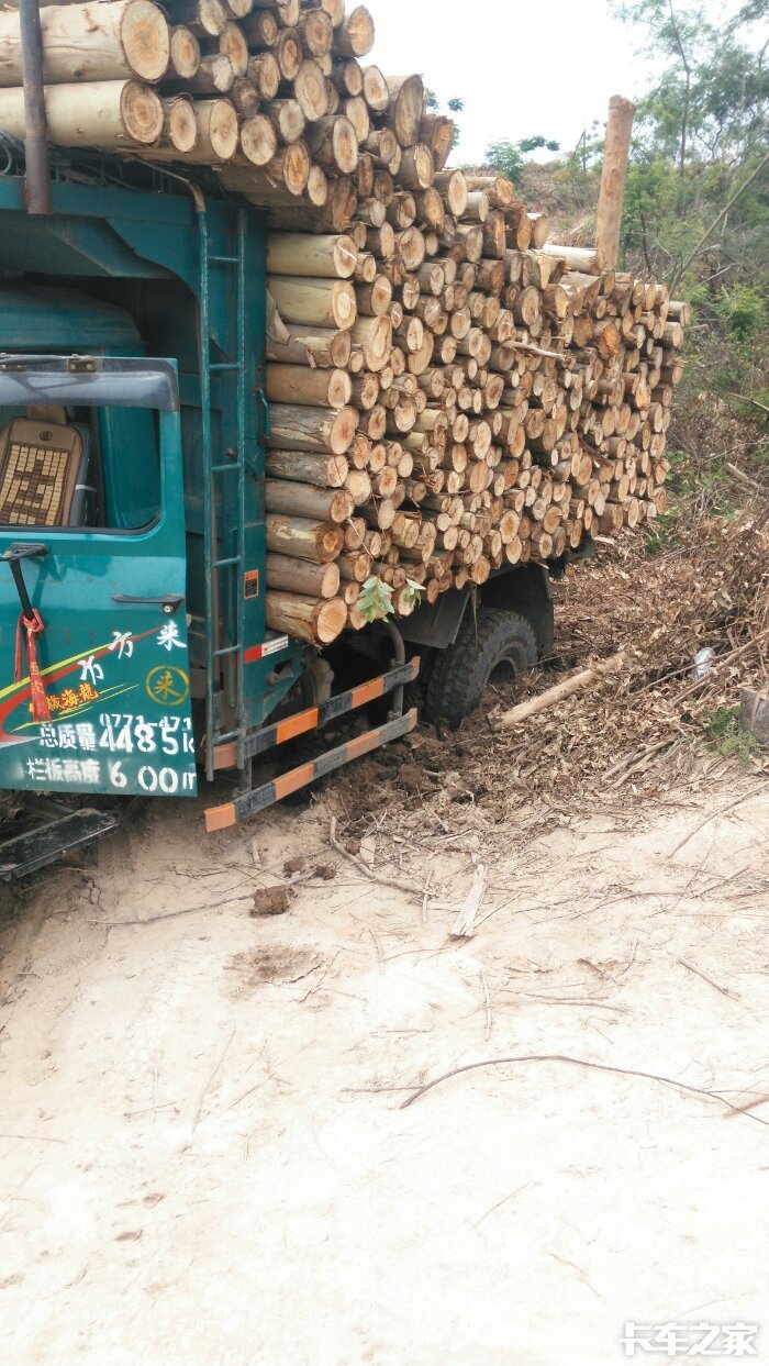 钦机进山拉木干活