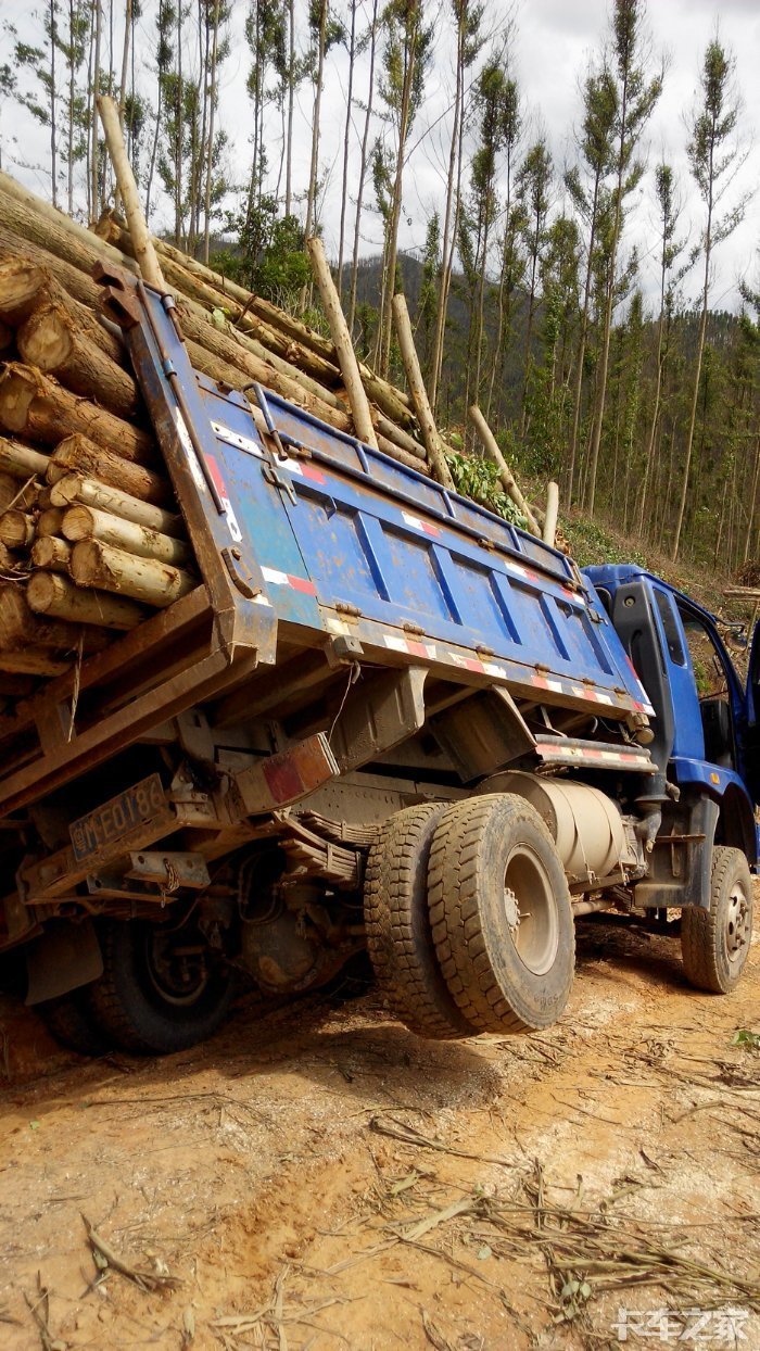 没钱啊今天去拉木头了