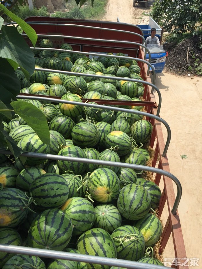 轻卡买西瓜