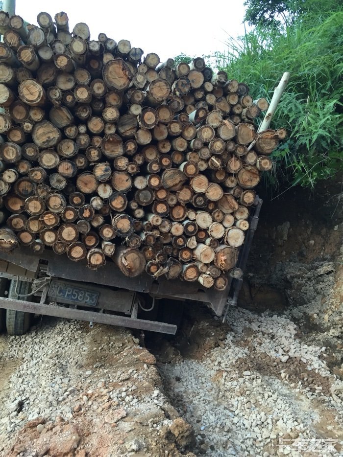 雨季载木小心驾驶!各种坑爹
