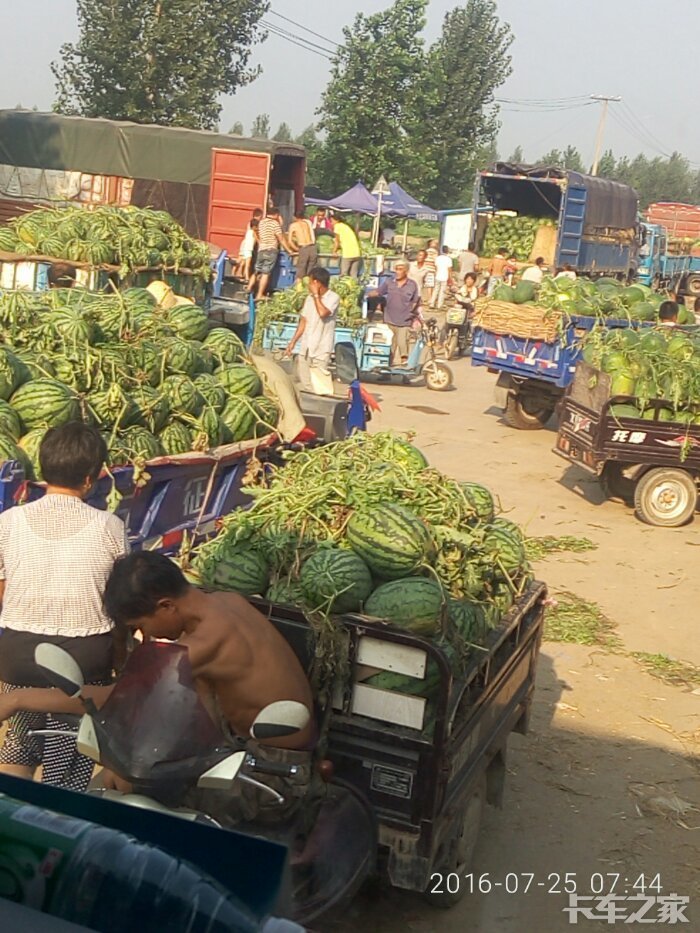 西瓜西瓜 _ 卡车之家论坛