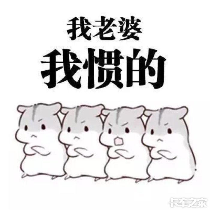 娶老婆是用来干什么的?