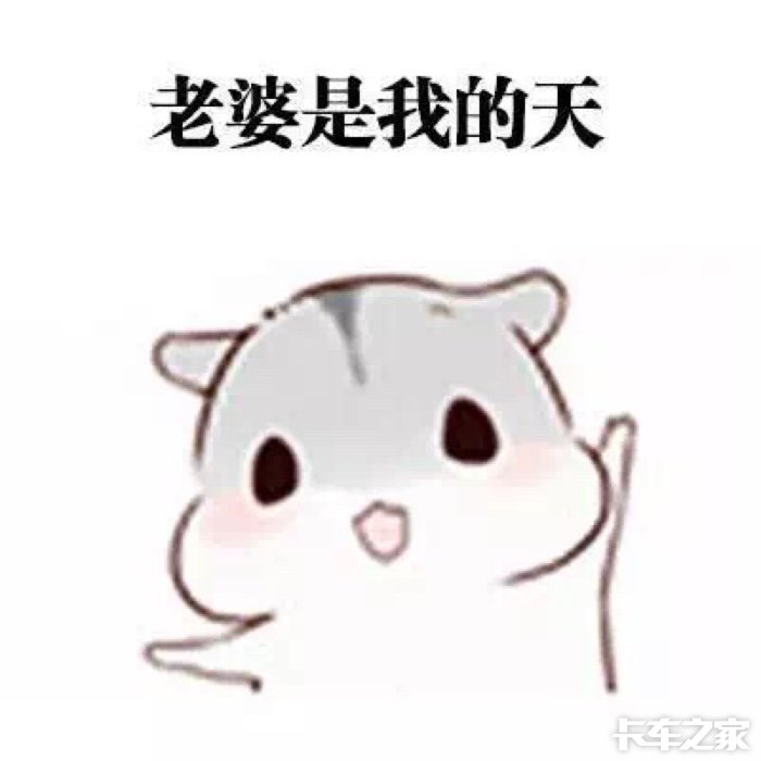 娶老婆是用来干什么的?
