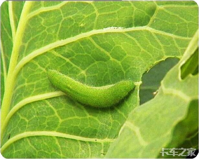 顺藤摸瓜我和物流生熟始末上