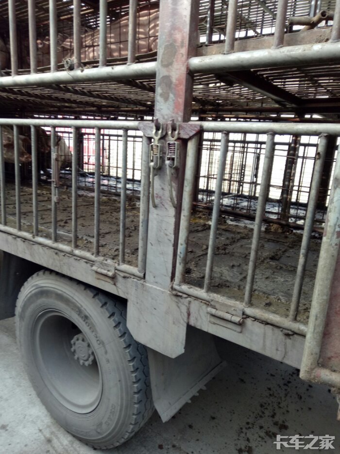 请教一下装猪的货车司机