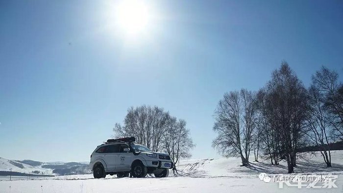 萨瓦纳让它带你去撒野