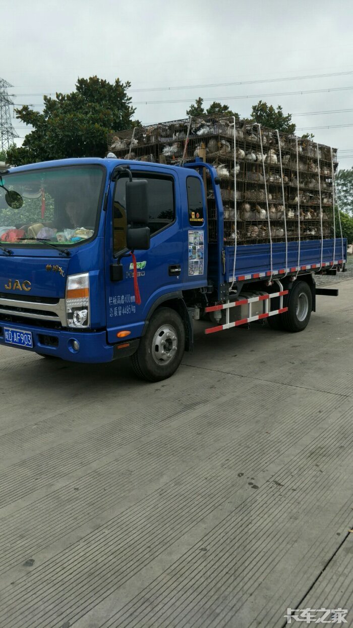 鸭苗小子 拉鸭记 _ 卡车之家论坛
