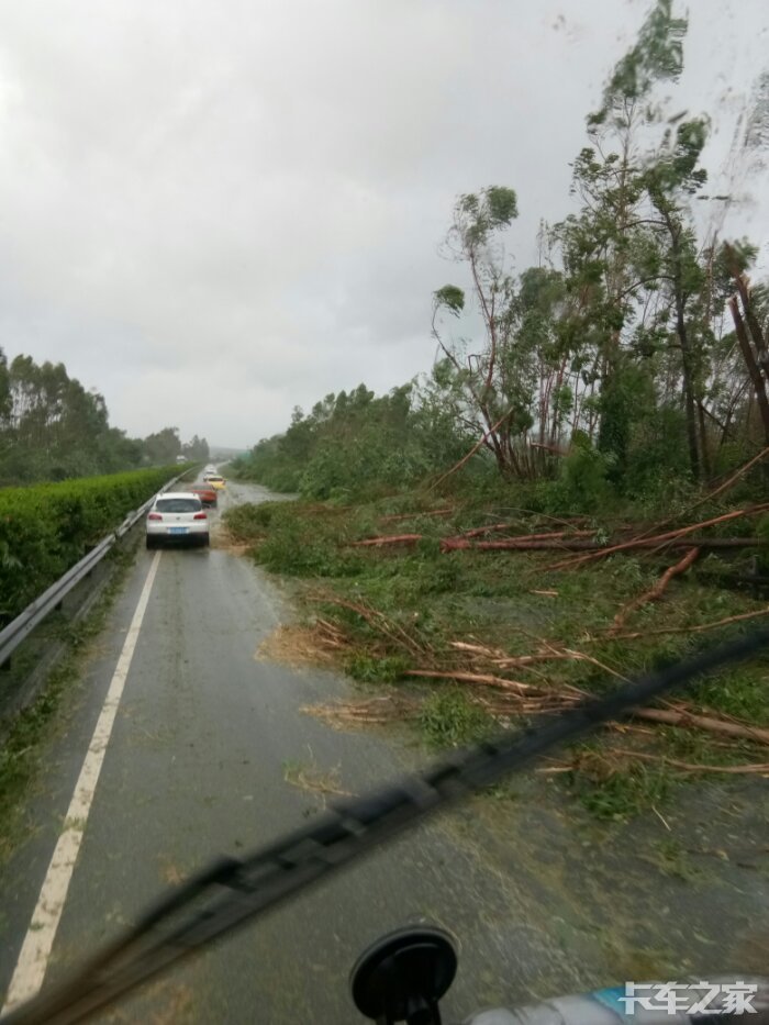台风来了,暴雨也随之而来.