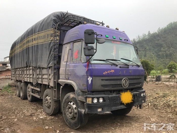 紫罗兰五桥最好几个月的光辉黄标要强制报废了