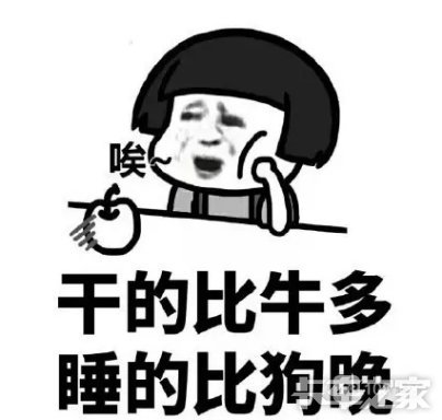 早起的鸟儿有虫吃