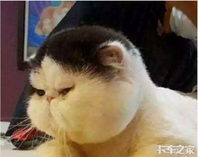 潮莞高速樟木头出口你自己爱