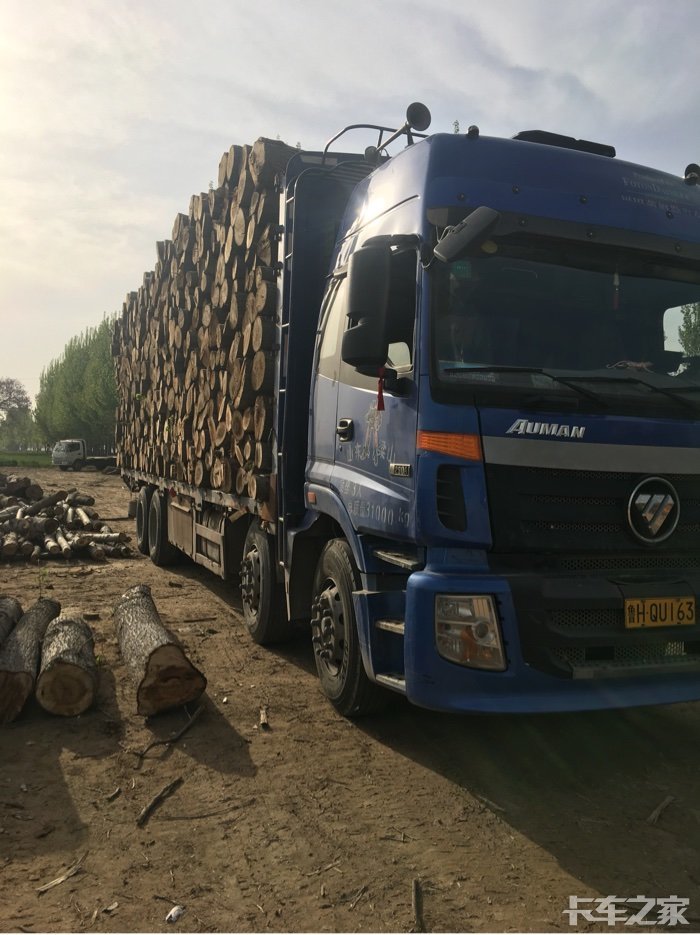 木头装车整齐好看就是不挣钱