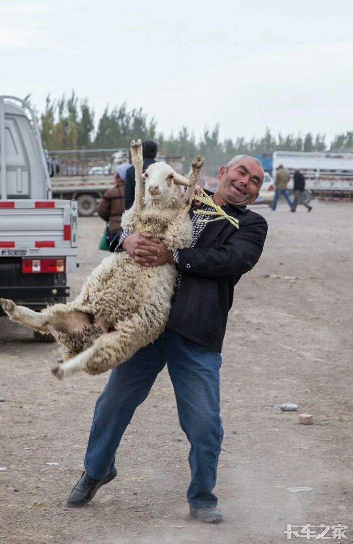 巴扎上抱羊的维族大叔,喜感十足