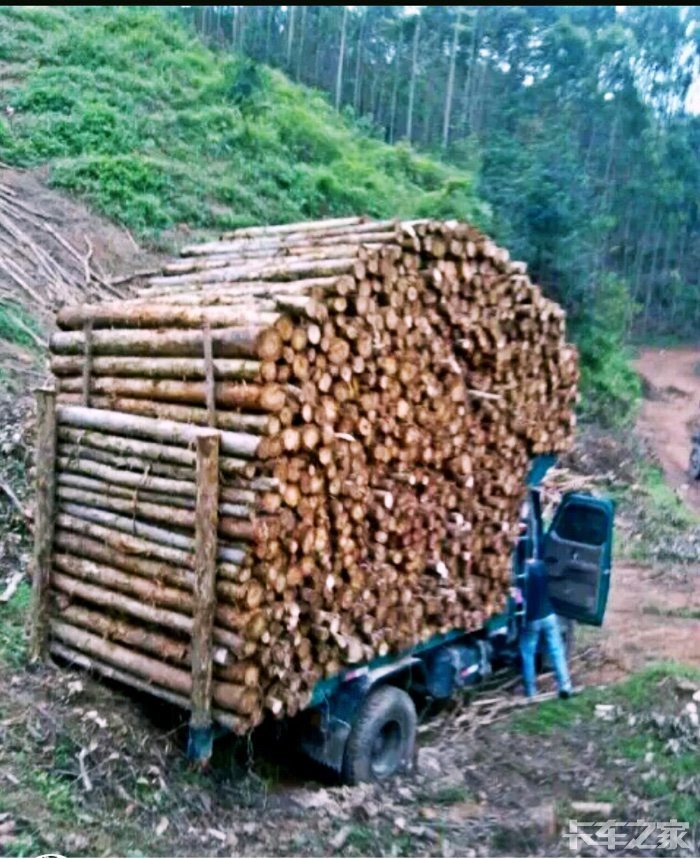 农村木头拖车图片