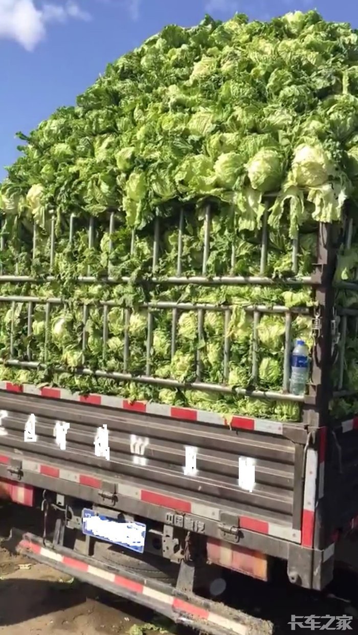 我的豪沃悍将,太棒了